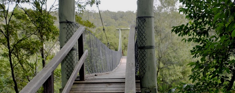 Nature walk in Shoalhaven NSW.